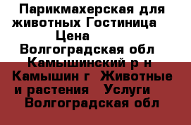 Парикмахерская для животных.Гостиница. › Цена ­ 500 - Волгоградская обл., Камышинский р-н, Камышин г. Животные и растения » Услуги   . Волгоградская обл.